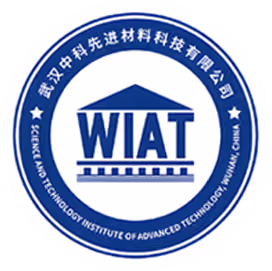 Wuhan Institute of Advanced Technology Chinese Academy of Science