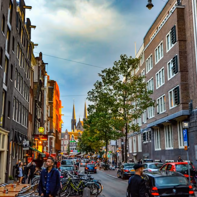 2024: Ban on flavoured e-cigarettes in Holland-ANTBAR